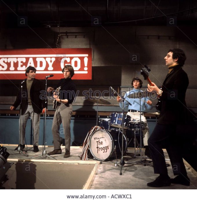 The Troggs on TV